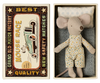 Little-brother-mouse-in-matchbox