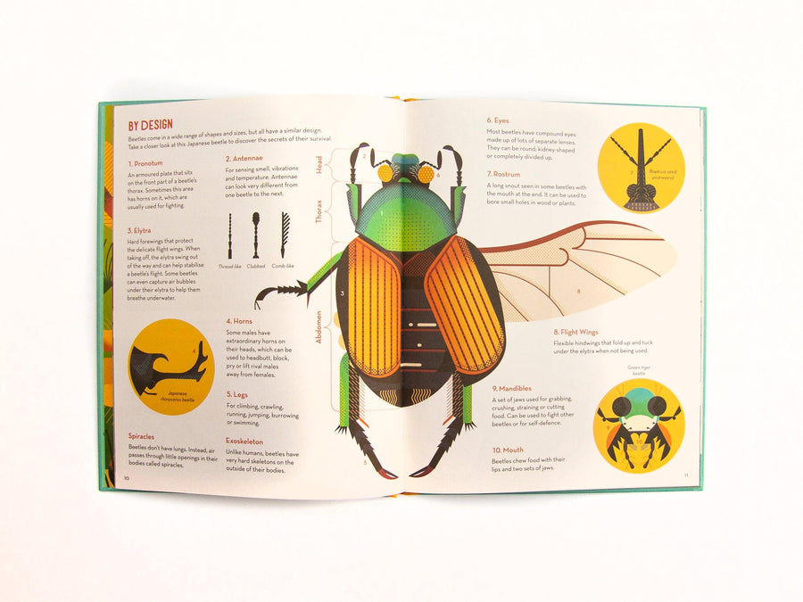 Bonkers About Beetles by Owen Davies - Ottie and the Bea