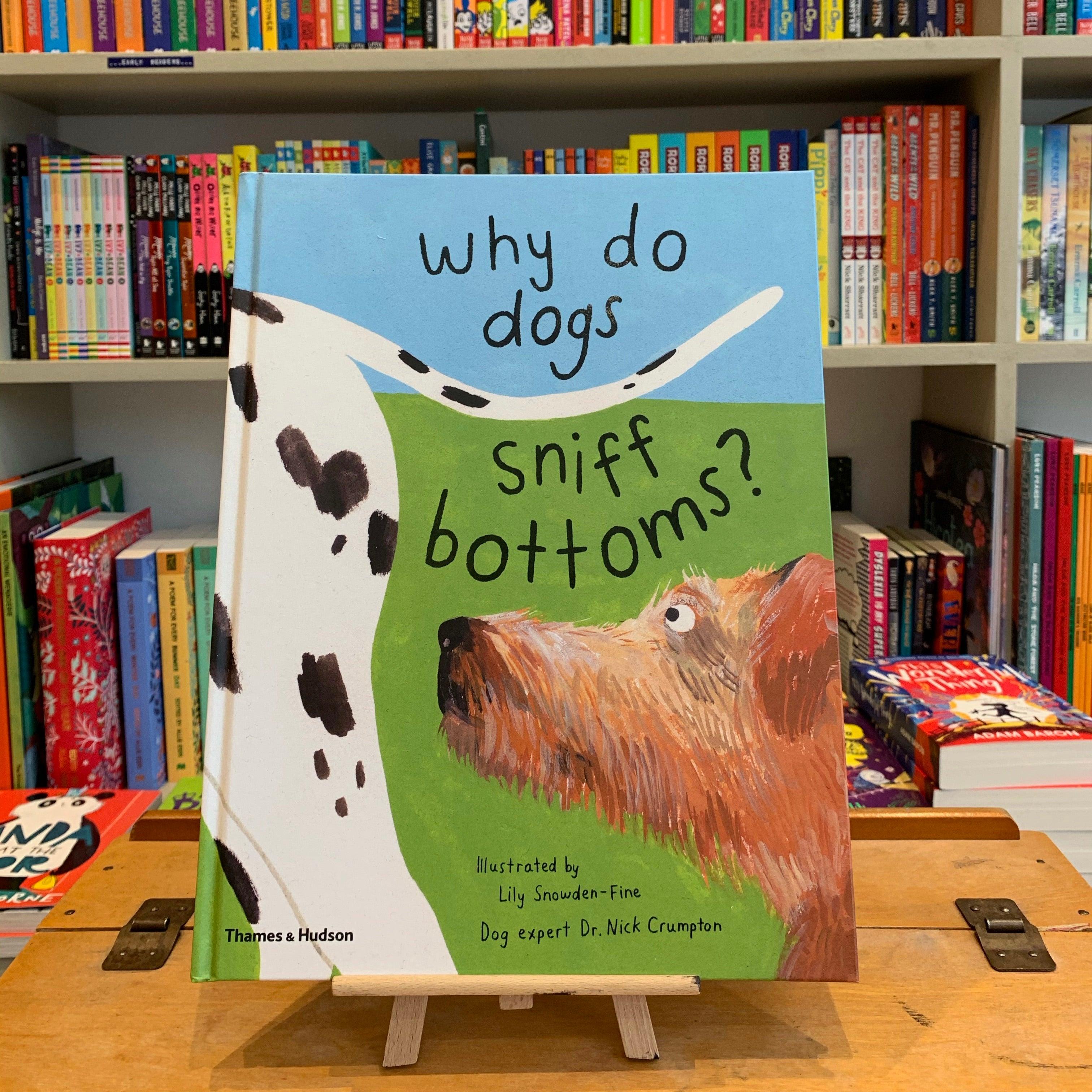 Why do dogs sniff bottoms? Ottie and the Bea