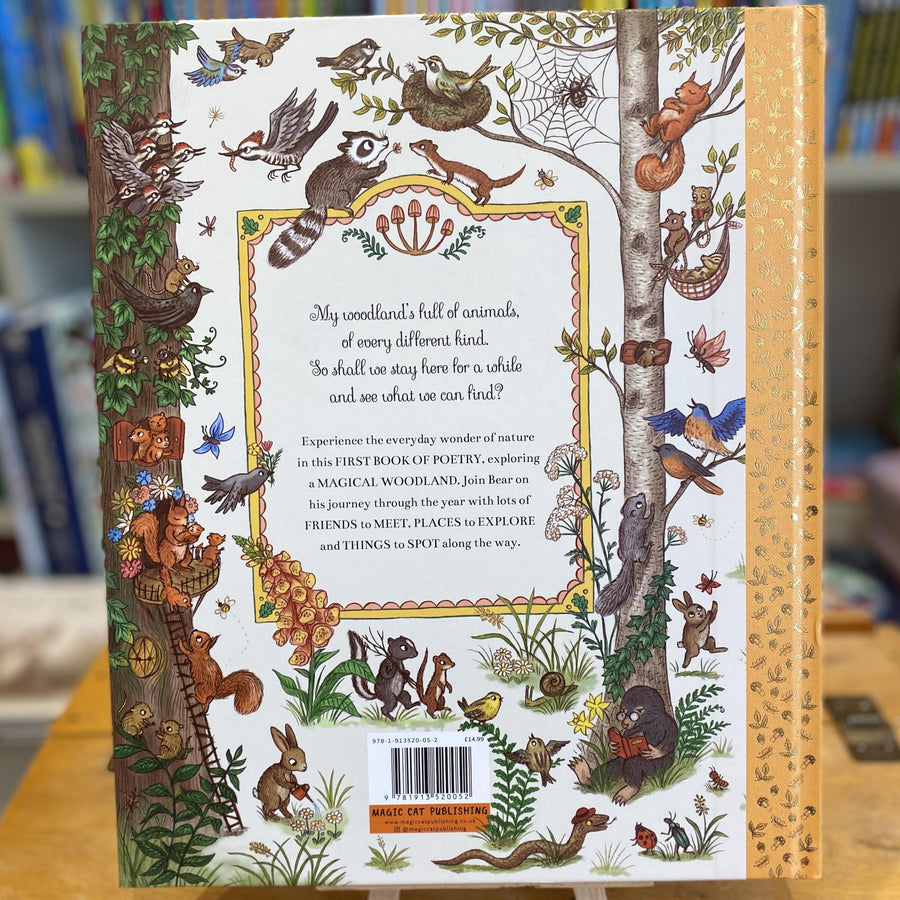 If You Go Down to the Woods Today by  Rachel Piercey and illustrated by Freya Hartas - Ottie and the Bea