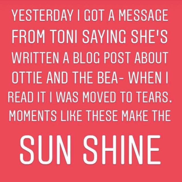 Moments like this make the Sun Shine