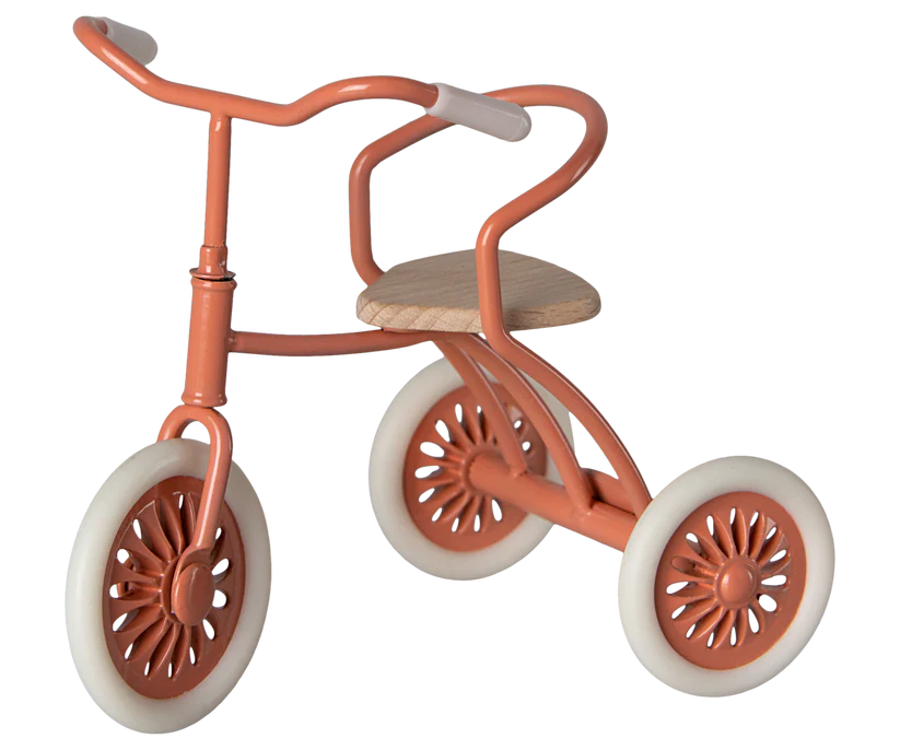 Abri Tricycle