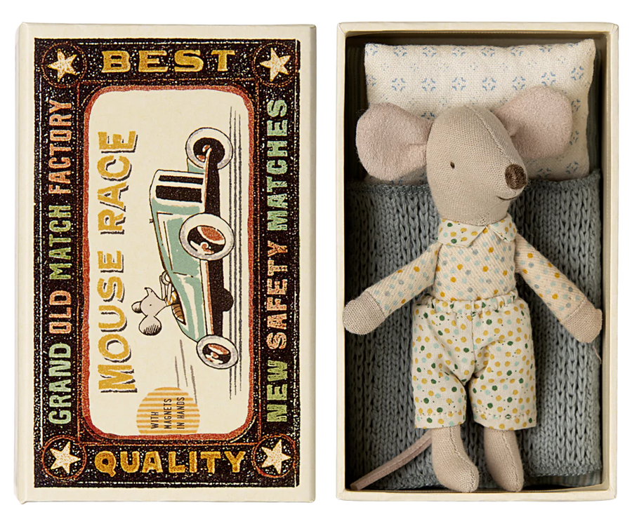 Little-brother-mouse-in-matchbox
