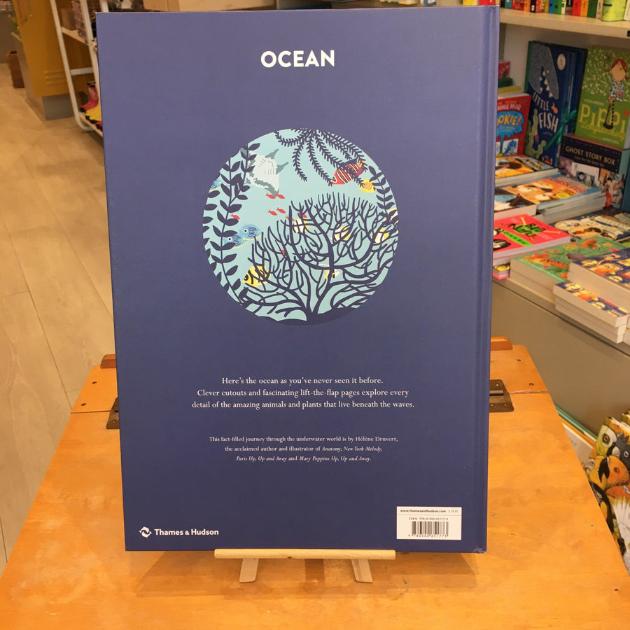 Ocean by Helene Druvert - Ottie and the Bea