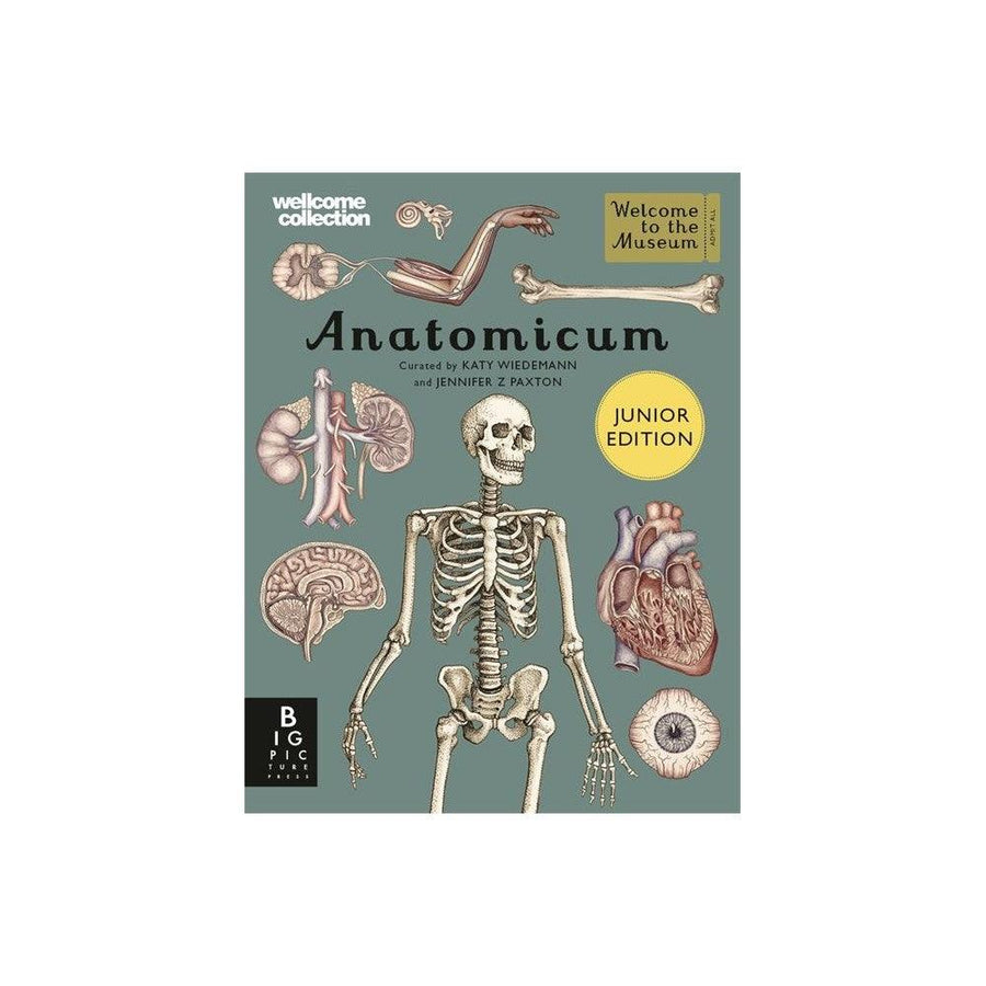 Anatomicum Junior Edition 
